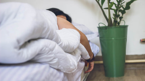 lady sleeping comfortably in bed next to plant