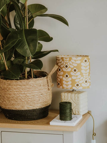 rubber plant on desk