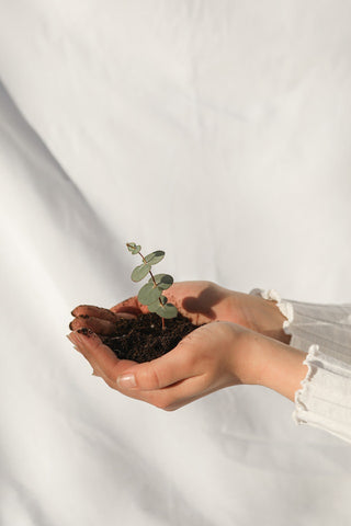 woman holding soil with green plant