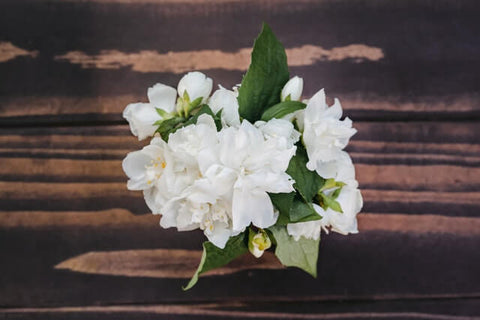 bouquet of jasmine