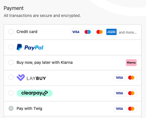 screenshot of checkout with twig pay as option